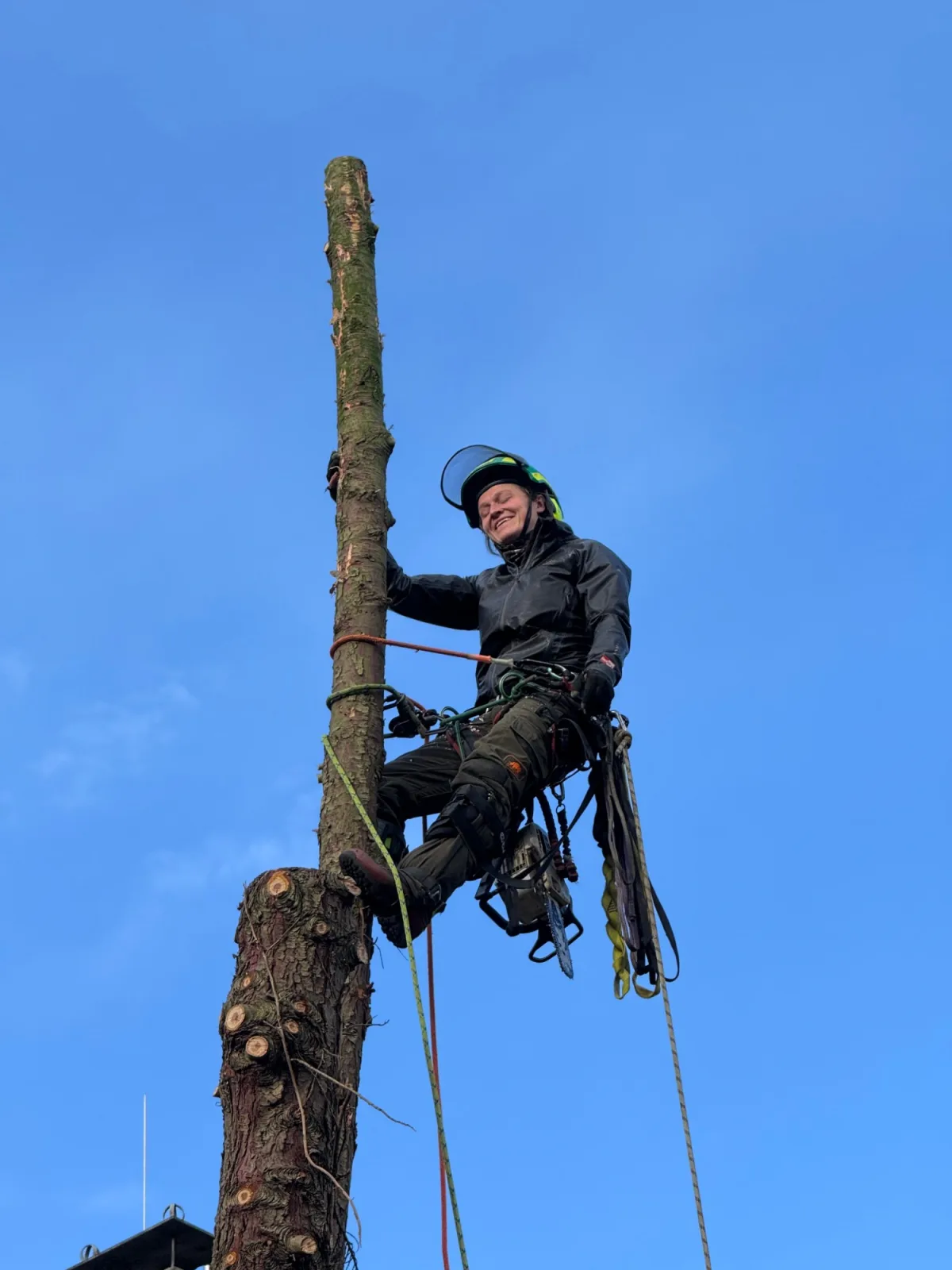 Lea Suhr lachend am Stamm, gesichert mit Seil und Klettergurt, vor blauem Himmel